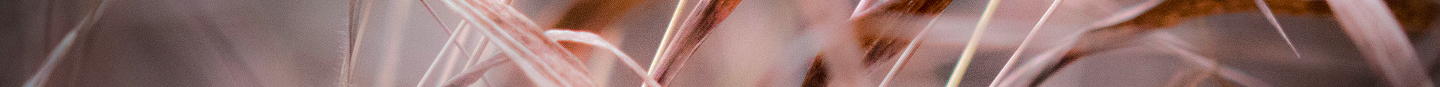 Imaxe de fondo