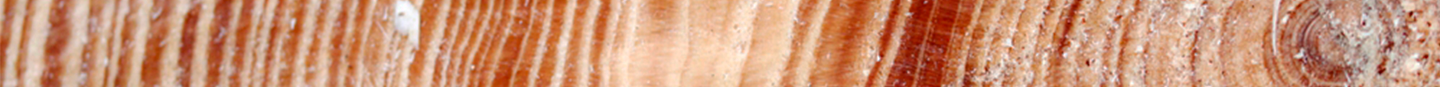 separador madera
