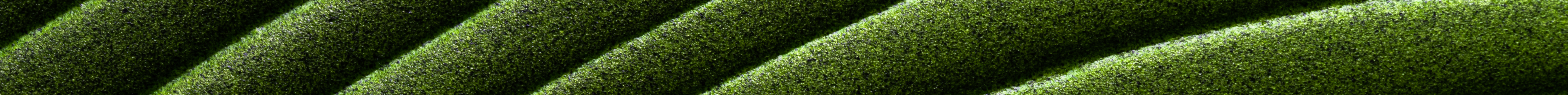 separador verde