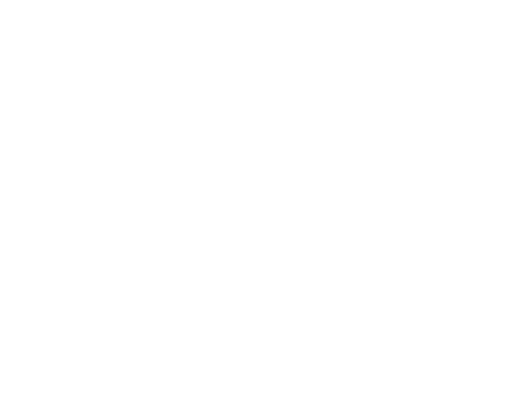 Persona
